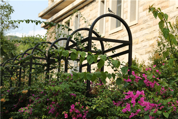 �������\ �B���ڈD���^߅�����W(xu��)�Ӛw��.jpg