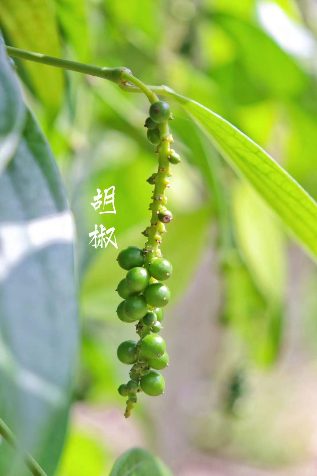 ����� ����ϵ���181 ����.jpg