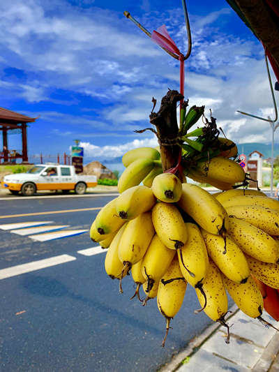 20220422���D����SIT�W(xu��)�ӏļ��l(xi��ng)�ā��Ĵ��� (23).jpg