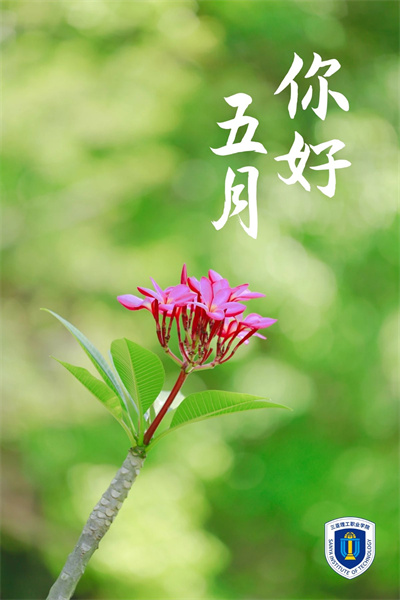 �D˾�?20220429-30254547 (1).jpg